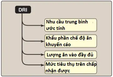 chat-dinh-duong-2