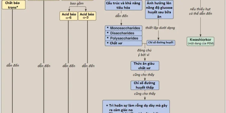 Dinh Dưỡng: Tổng Quan Và Các Chất Dinh Dưỡng Đa Lượng (Phần 5)