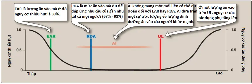 chat-dinh-duong-3