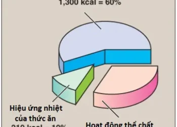 Dinh Dưỡng: Tổng Quan Và Các Chất Dinh Dưỡng Đa Lượng (Phần 1)