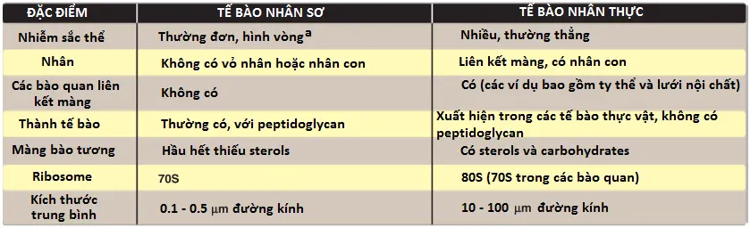 vi-khuan-2