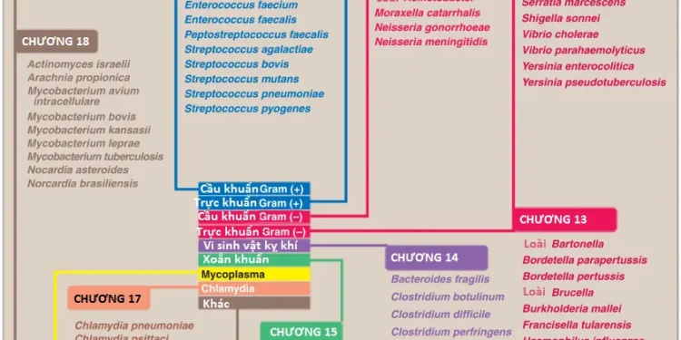 Giới Thiệu Về Vi Sinh Vật Học